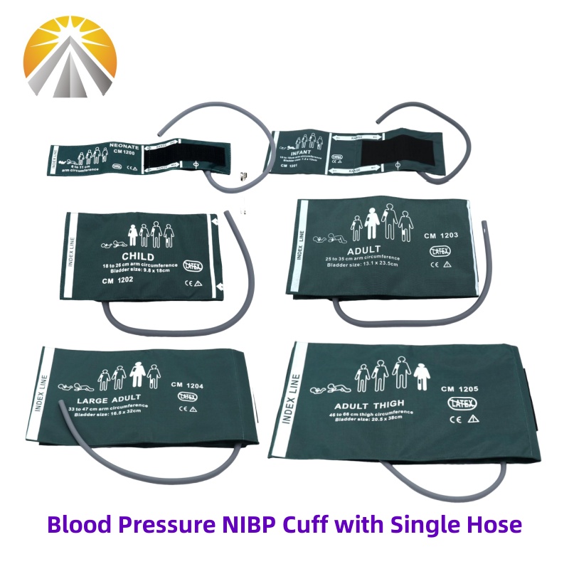 Six Sizes Available Neonates C - Dual Monitor Stand 리뷰 및 가격